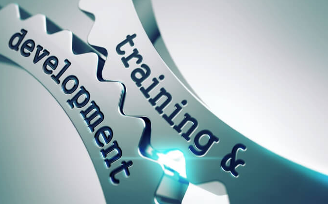 Training & Development